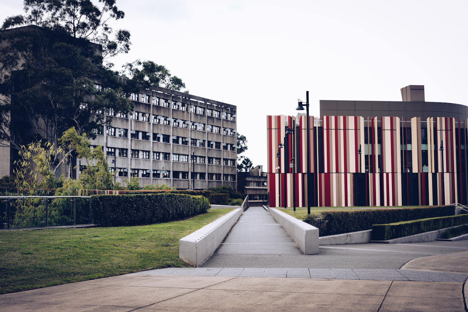 New Zealand medical university campus